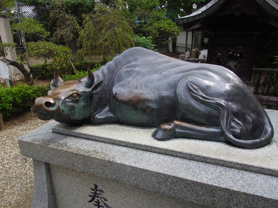 道明寺天満宮 撫で牛