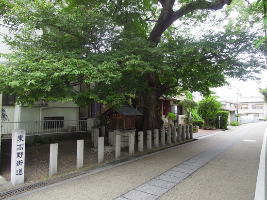 道明寺 白光龍王大神02