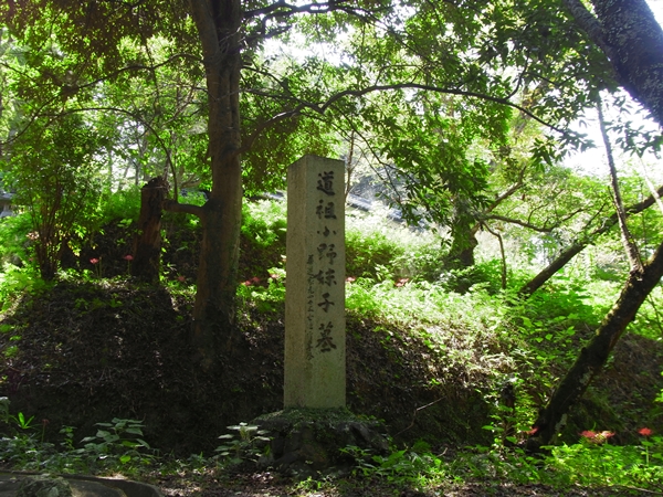 小野妹子 トップ