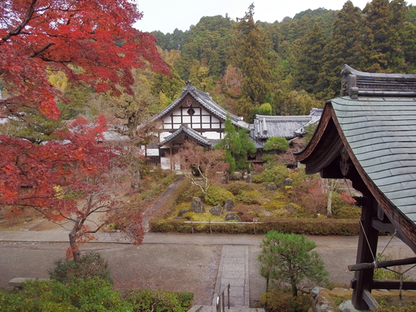 延命寺と紅葉