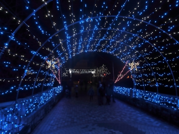 寺ヶ池公園イルミネーション02