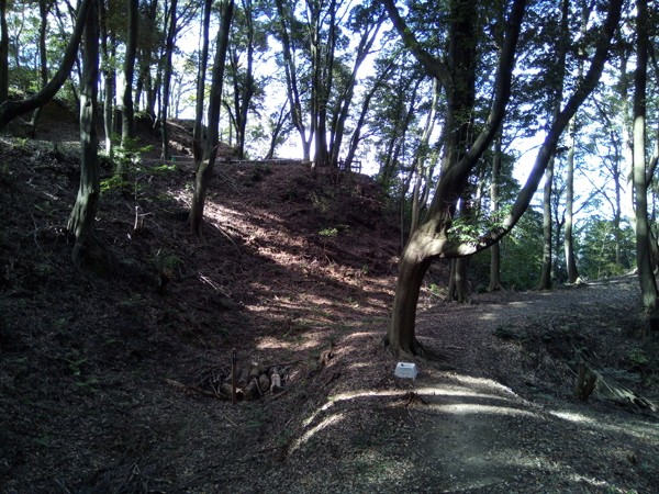 烏帽子形城跡03