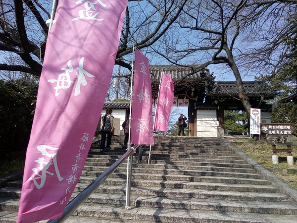 道明寺梅まつり