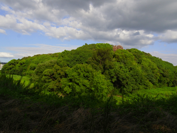 仲姫命陵古墳