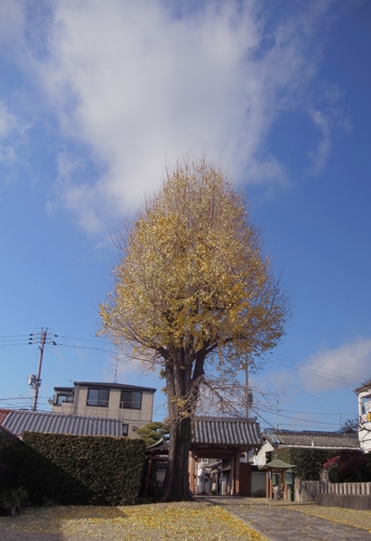 西琳寺