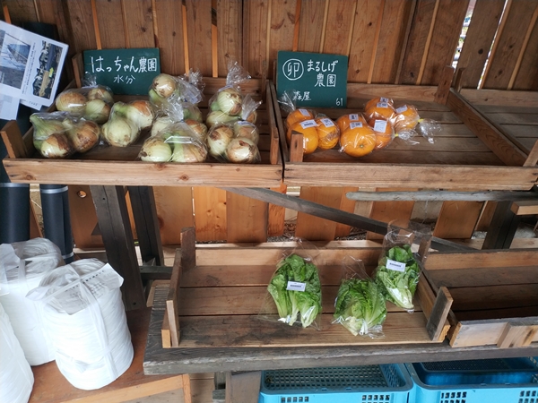 道の駅ちはやあかさかの野菜