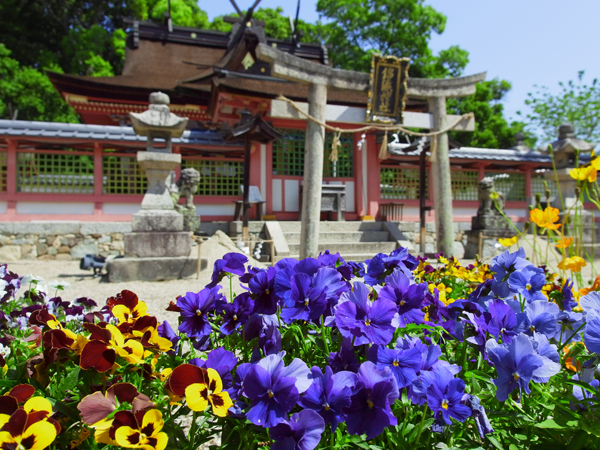 錦織神社