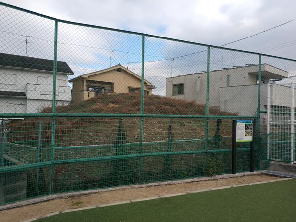 東馬塚古墳全景