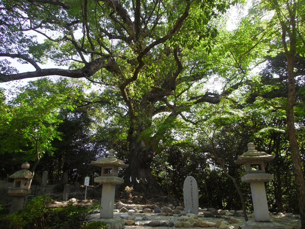 壷井八幡宮