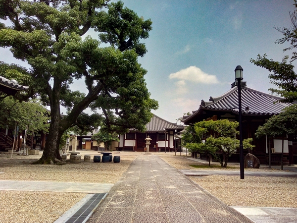 道明寺
