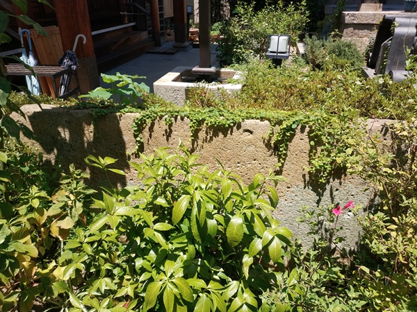 専念寺の庭石