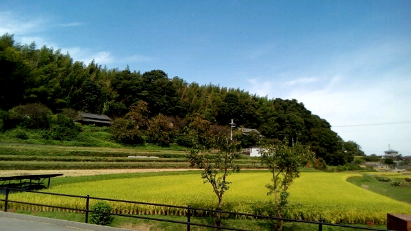 奥河内　くろまろの郷