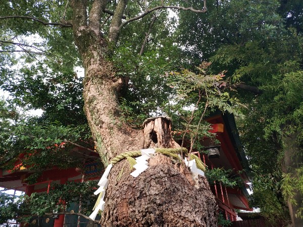 我堂八幡宮