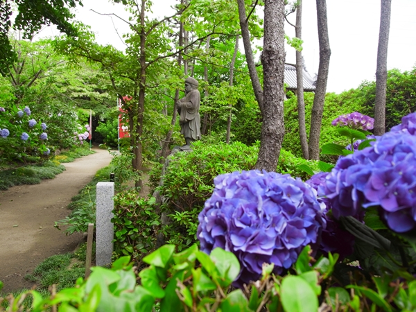 法雲禅寺