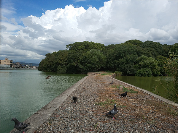 河内大塚山古墳