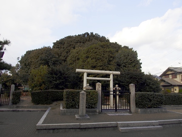 高屋八幡山古墳
