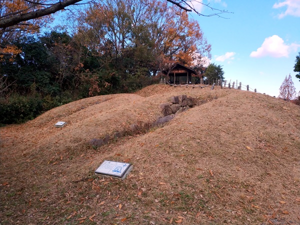 大谷古墳群