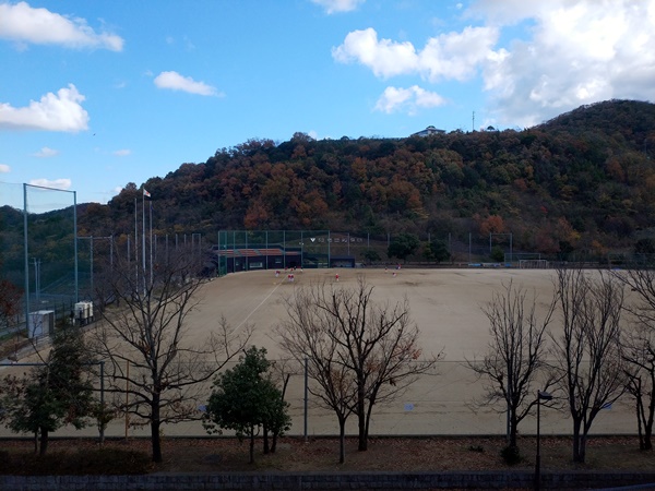 大谷古墳群