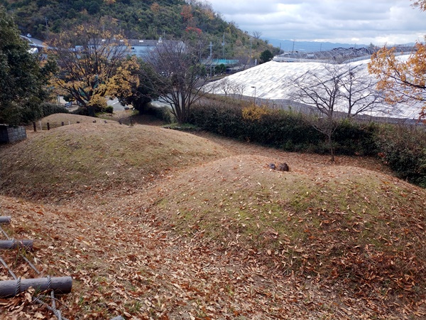 大谷古墳群