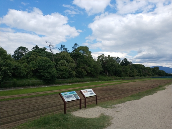 誉田御廟山古墳(応神天皇陵)