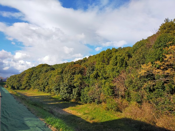 仲姫命陵(仲津山古墳)