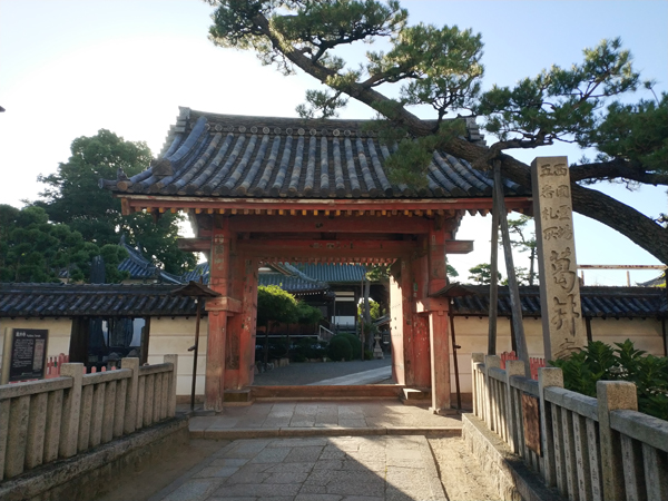 葛井寺