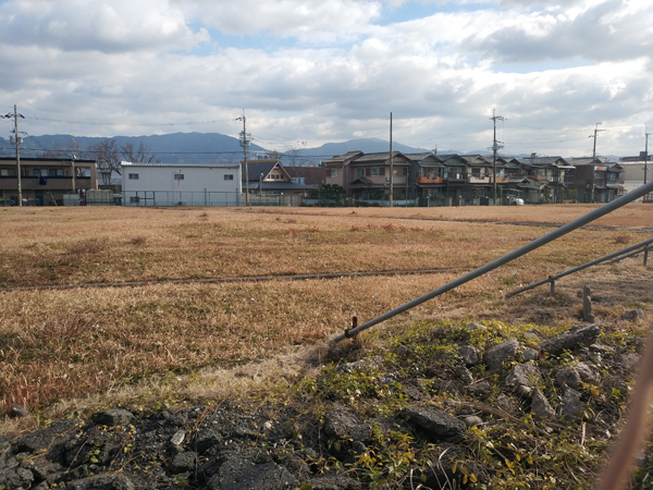 お亀石古墳の近くにある新堂廃寺跡2