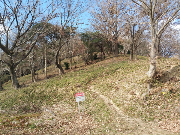 お亀石古墳の手前