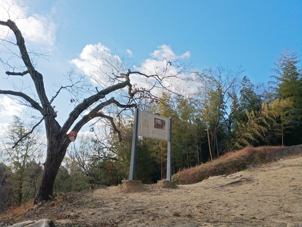 お亀石古墳の全景