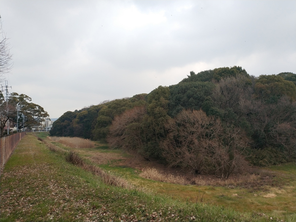 仲津姫命陵(仲津山古墳)