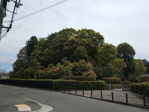 誉田丸山古墳