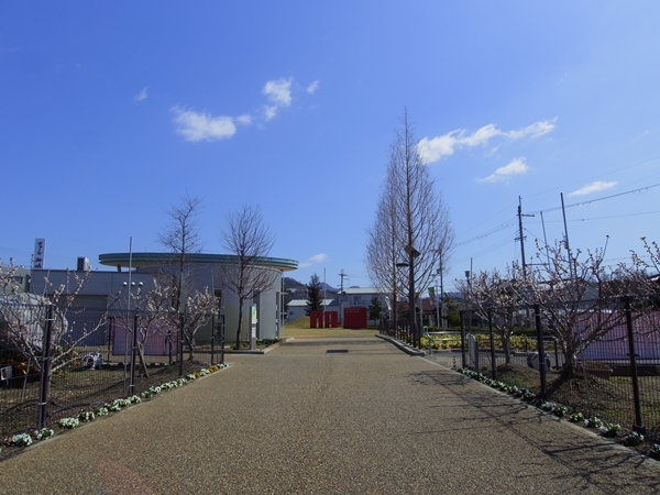 石川河川公園