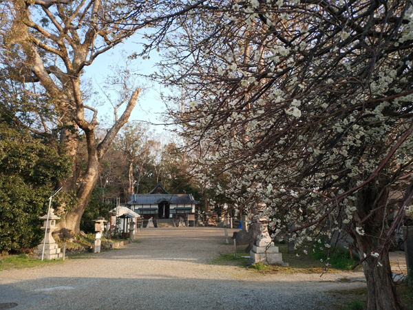 千代田神社