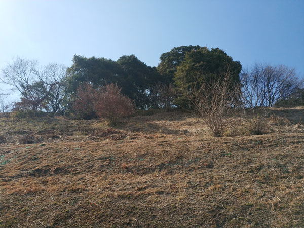 廿山古墳二本松古墳