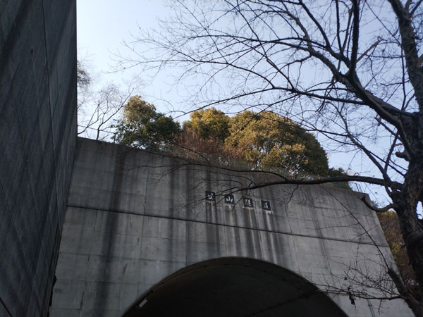 廿山古墳二本松古墳