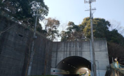 廿山古墳二本松古墳
