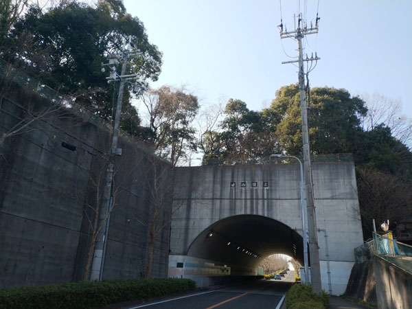 廿山古墳二本松古墳