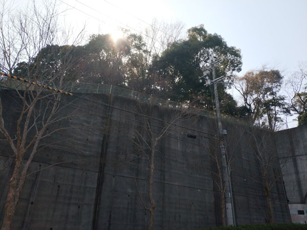 廿山古墳二本松古墳