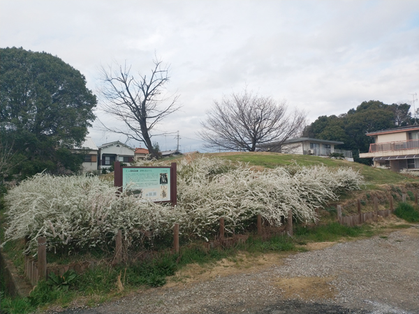 助太山古墳