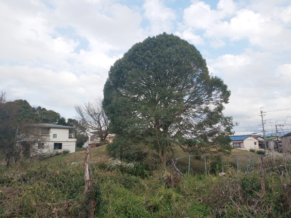助太山古墳