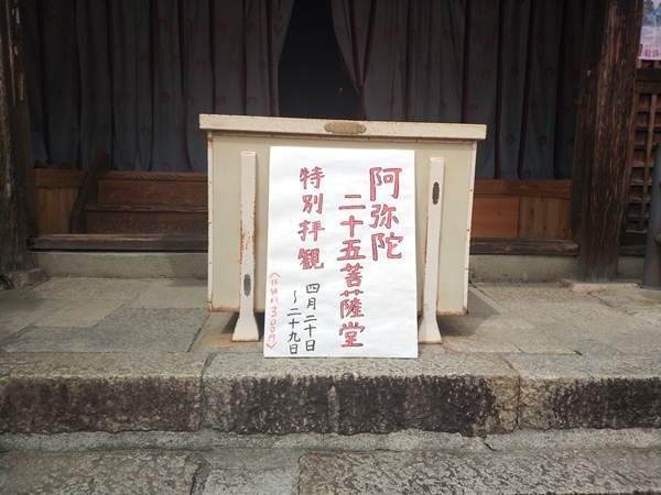 葛井寺　藤まつり