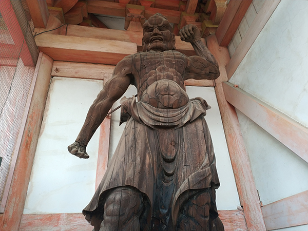 葛井寺　藤まつり