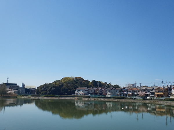 仁賢天皇陵(ボケ山古墳)