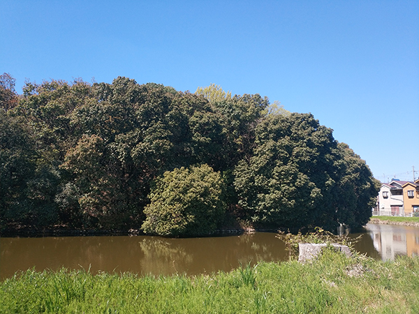 仁賢天皇陵(ボケ山古墳)