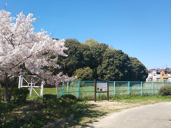 仁賢天皇陵(ボケ山古墳)