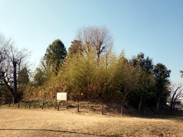 廿山北古墳