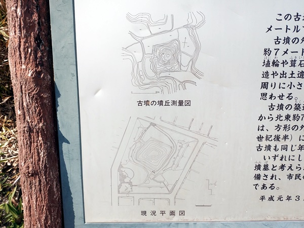 廿山北古墳
