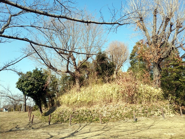 廿山北古墳
