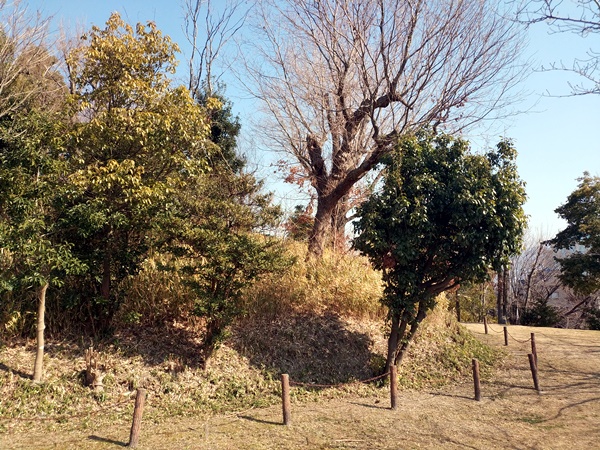 廿山北古墳
