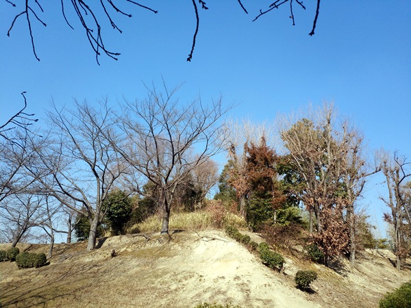 廿山北古墳